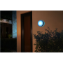 Philips Hue WCA Daylo Outdoor Wall Lantern, Inox , 15 W , 2000-6500 Hue White Colour Ambiance