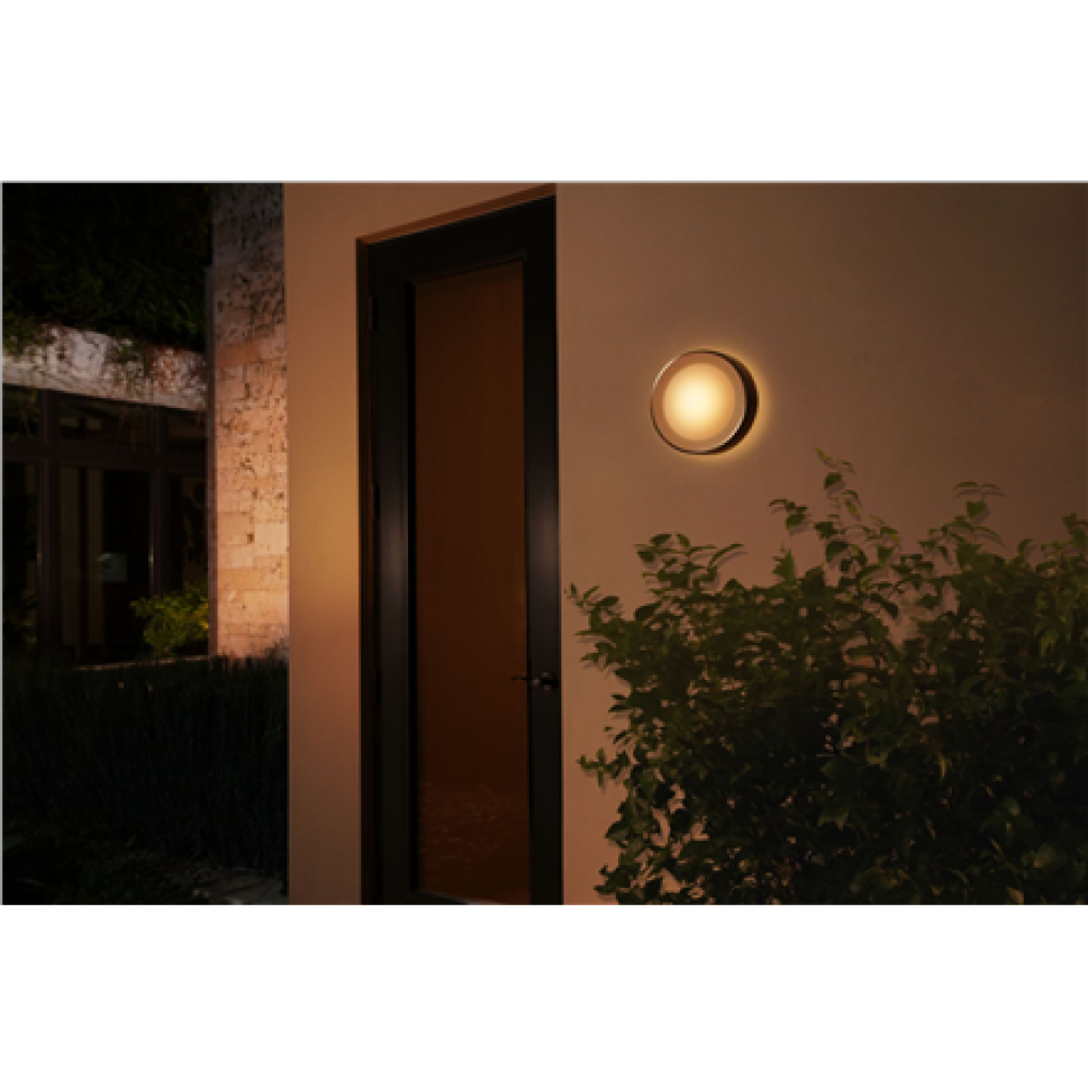 Philips Hue WCA Daylo Outdoor Wall Lantern, Inox , 15 W , 2000-6500 Hue White Colour Ambiance