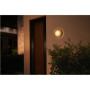 Philips Hue WCA Daylo Outdoor Wall Lantern, Inox , 15 W , 2000-6500 Hue White Colour Ambiance