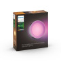 Philips Hue WCA Daylo Outdoor Wall Lantern, Inox , 15 W , 2000-6500 Hue White Colour Ambiance