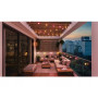 Philips Hue Hue Festavia Globe Outdoor String Lights, 21m Extension , 30 W