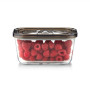 Caso Glass Vacuum Container with Plastic Lid , VacuBoxx Eco M , Transparent