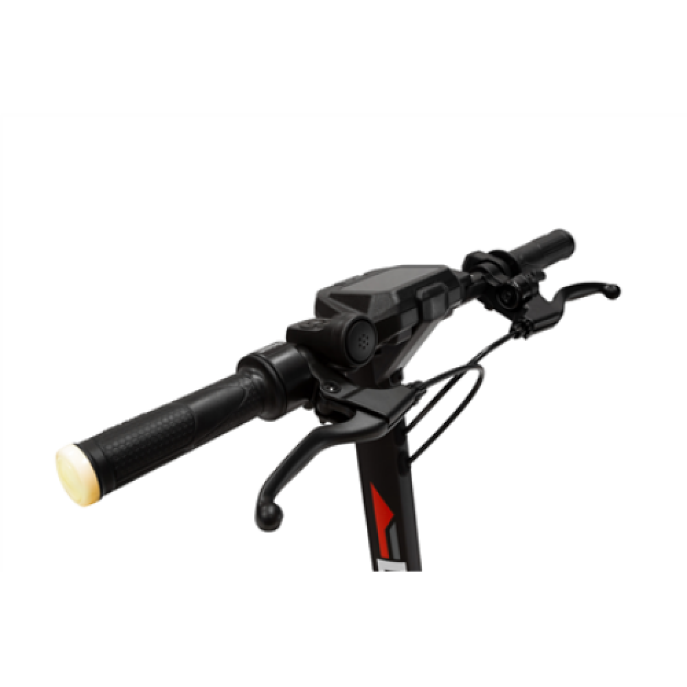 Ducati branded E-Scooter PRO-I EVO with Turn Signals 350 W 25 km/h Black