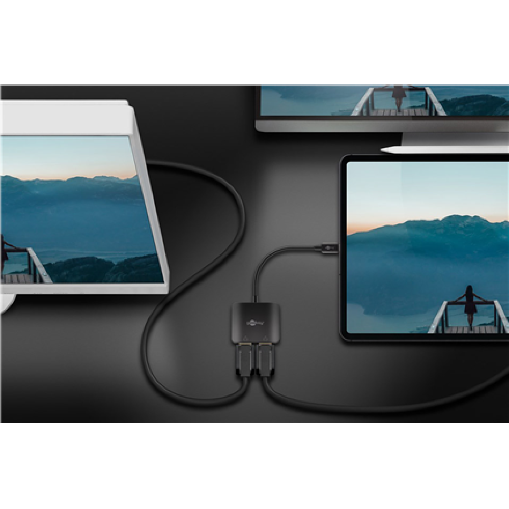 Goobay USB-C Adapter to 2x DisplayPort , 60171