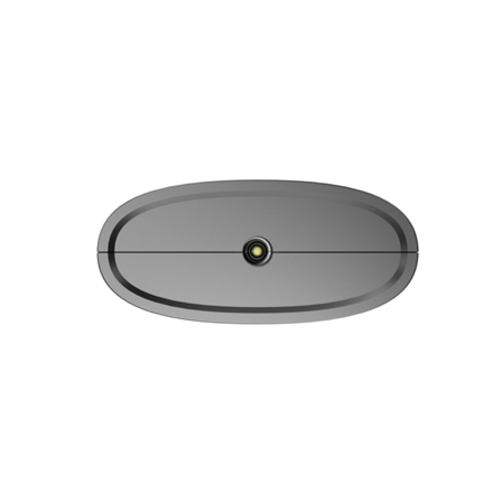 Natec Laser Point Presenter, Warbler 2, Wireless, Grey