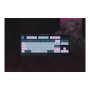 Razer , BlackWidow V4 Tenkeyless HyperSpeed , Gaming Keyboard , Wireless , US , Orange Switch , Wuthering Waves Edition