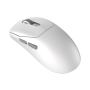 MSI Gaming Mouse , FORGE GM340 WIRELESS , Wireless , 2.4 GHz, Bluetooth, USB , White