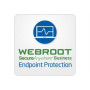 Webroot , Business Endpoint Protection with GSM Console , Antivirus Business Edition , 1 year(s) , License quantity 10-99 user(s)