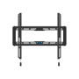 Neomounts Wall mount , WL30-550BL14 TV mount wall , 32-75 , Maximum weight (capacity) 50 kg , Black