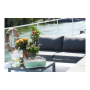 Barbecook Electric Grill E-Carlo , BC-ELE-1002 , Table , 2500 W , Green
