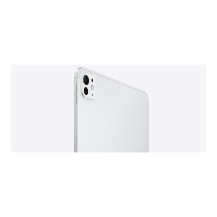 Apple iPad Pro 11 M4 Wi-Fi 256GB with Standard glass - Silver , Apple