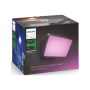 Philips Hue WCA Discover Outdoor Floodlight , 2000-6500 Hue White Colour Ambiance