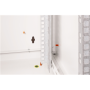 Digitus Wall Mounting Cabinet , DN-19 20U-6/6 , Light Grey