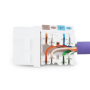 Class E CAT 6 Keystone Jack , DN-93601 , Unshielded RJ45 to LSA , Cable installation via LSA strips, color coded according to EIA/TIA 568 A & B; The Cat 6 keystone module supports transmission speeds of up to 1 GBit/s & 250 MHz in connection with 