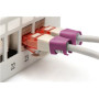 Digitus , Color clips for Patch cable , A-CC-MG