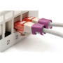 Digitus , Color clips for Patch cable , A-CC-MG , Magenta