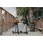 Ninebot by Segway Kickscooter F2 E, Black , Segway , Kickscooter F2 E , Up to 25 km/h , 10 , Black