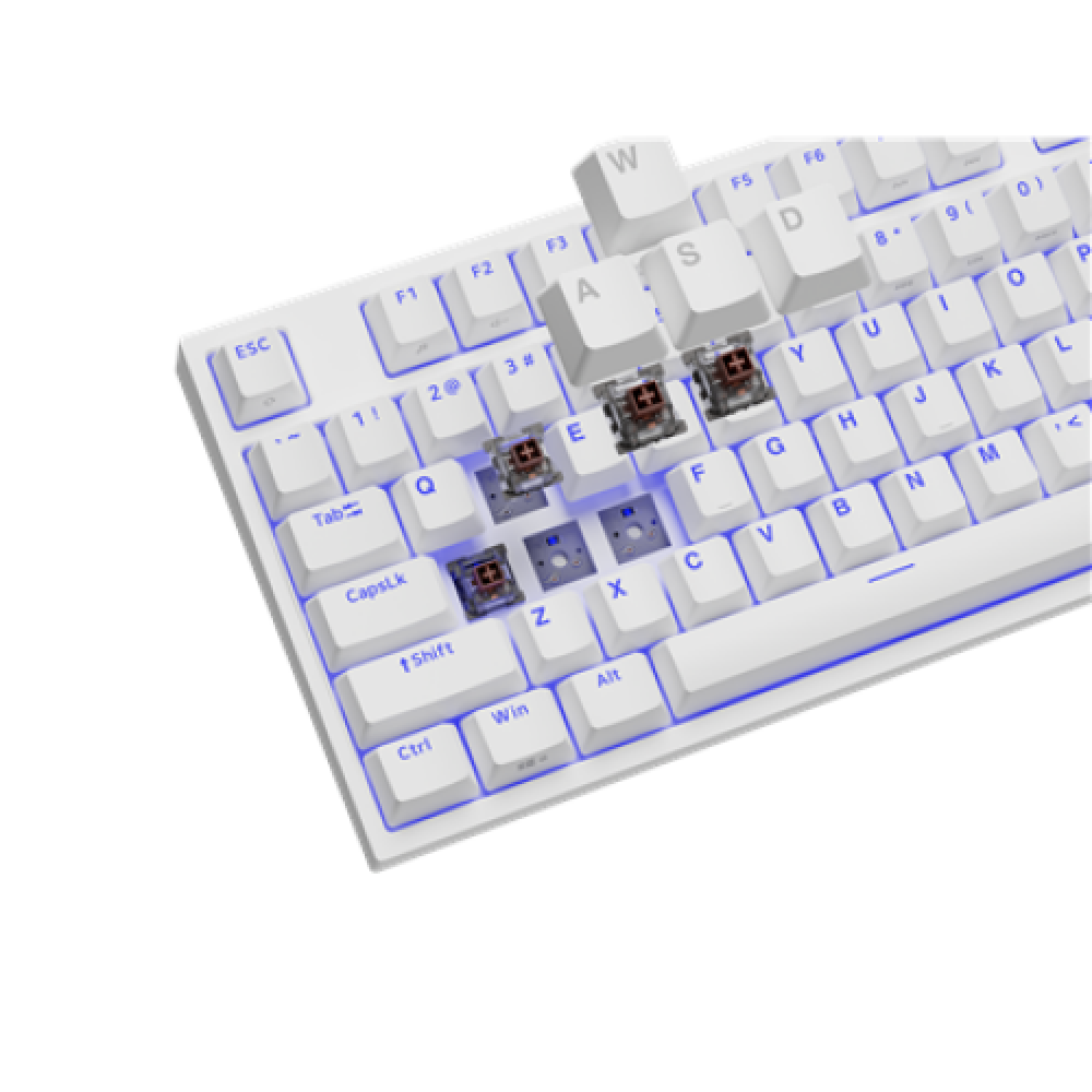 Genesis , Mechanical Gaming Keyboard , THOR 404 TKL RGB , White , Mechanical Gaming Keyboard , Wired , US , USB Type-A , 1005 g , Kailh Box Brown V2