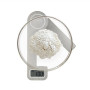 Caso , Scales , KitchenEcostyle , Maximum weight (capacity) 5 kg , Graduation 1 g , Display type LCD , Stainless steel