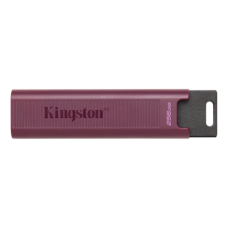 Kingston , USB 3.2 Flash Drive , DataTraveler MAX , 256 GB , USB 3.2