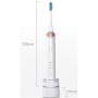 Panasonic , Sonic Electric Toothbrush , EW-DC12-W503 , Rechargeable , For adults , Number of brush heads included 1 , Number of teeth brushing modes 3 , Sonic technology , Golden White