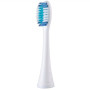 Panasonic , Sonic Electric Toothbrush , EW-DC12-W503 , Rechargeable , For adults , Number of brush heads included 1 , Number of teeth brushing modes 3 , Sonic technology , Golden White