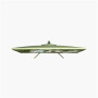 Arozzi , Nova , 27 , IPS , QHD , 16:9 , 180 Hz , 1 ms , 2560 x 1440 pixels , 350 cd/m² , HDMI ports quantity 2 , Forest Green