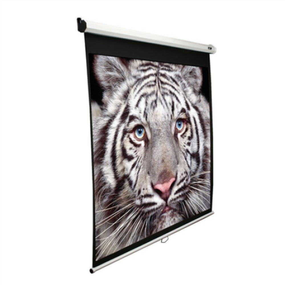 Elite Screens , M85XWS1 , Diagonal 215 cm , 1:1 , Viewable screen width (W) 152.4 cm , White
