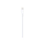 Apple Lightning to USB Cable (1m) , Apple