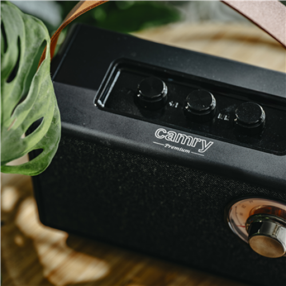 Camry Speaker with radio , CR 1902 B , 5 W , Bluetooth , Black , Wireless connection