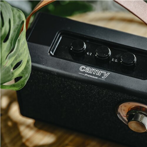 Camry , Speaker with radio , CR 1902 B , Black , Wireless connection