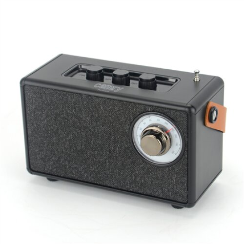 Camry , Speaker with radio , CR 1902 B , Black , Wireless connection
