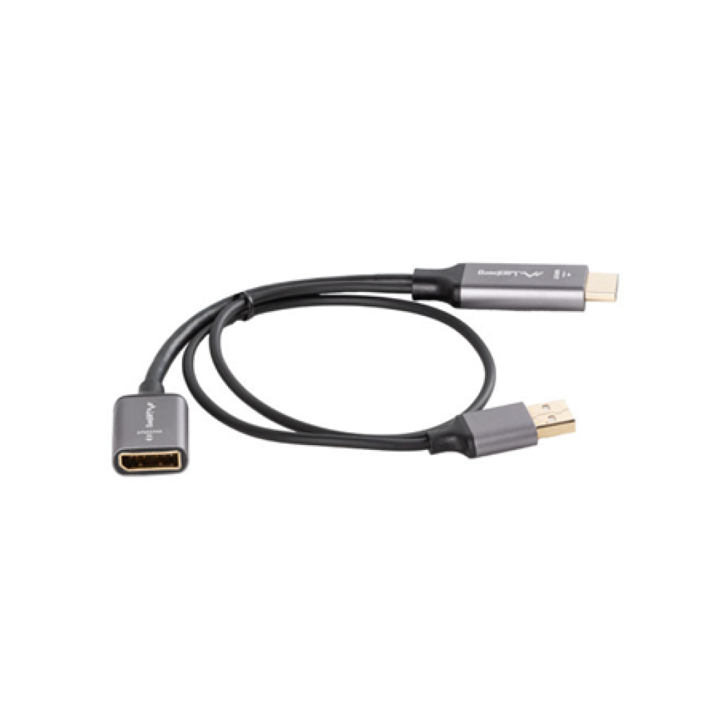 Lanberg HDMI (M) to Displayport (F) Adapter 4K on cable 20cm, Silver , AD-HD-DP-02