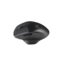 Natec Mouse, BlackBird 2, Silent, Wireless, 1600 DPI, Optical, Black , Natec , Mouse , Optical , Wireless , Black/Gray , BlackBird 2