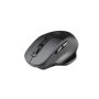 Natec Mouse, BlackBird 2, Silent, Wireless, 1600 DPI, Optical, Black , Natec , Mouse , Optical , Wireless , Black/Gray , BlackBird 2