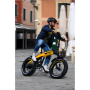 Ducati branded Scrambler SCR-E, City E-Bike, Warranty 24 month(s), Black