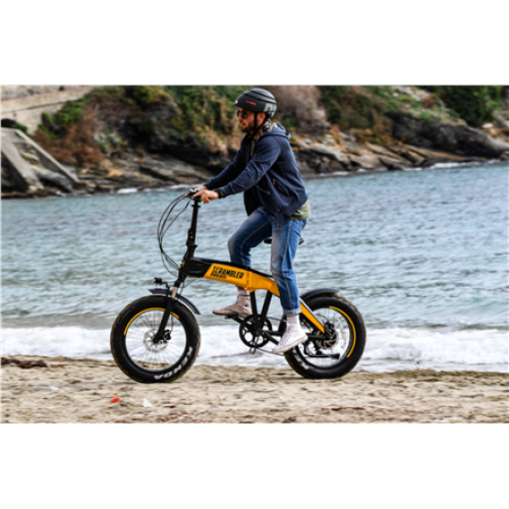 Ducati branded Scrambler SCR-E, City E-Bike, Warranty 24 month(s), Black