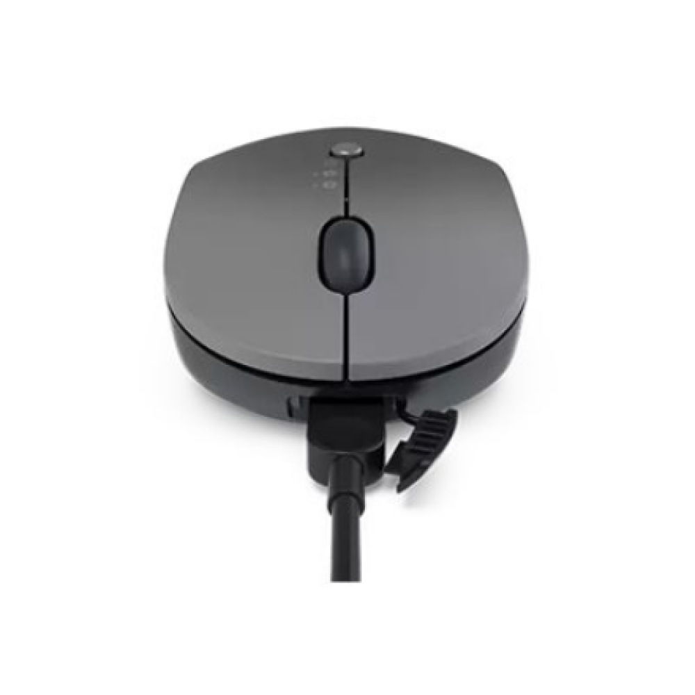 Lenovo , Go Wireless Multi-Device Mouse , Storm Grey