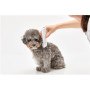 PETKIT 2 in 1 Pet Trimmer White
