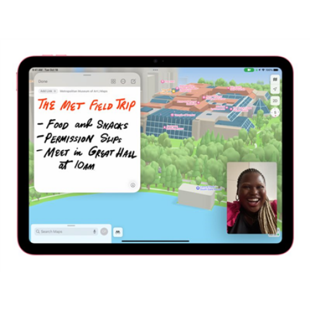 iPad 10.9 Wi-Fi + Cellular 256GB - Pink 10th Gen , Apple