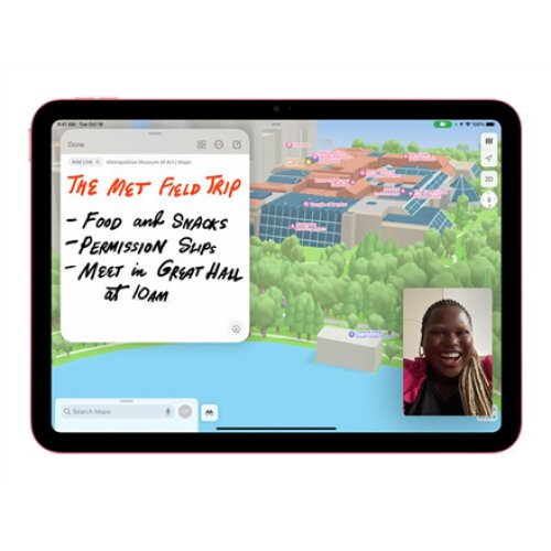 iPad 10.9 Wi-Fi + Cellular 256GB - Pink 10th Gen , Apple