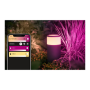 Philips Hue WCA Calla Outdoor Bollard, Black , 8 W , 2000-6500 Hue White Colour Ambiance