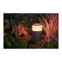 Philips Hue WCA Calla Outdoor Bollard, Black , 8 W , 2000-6500 Hue White Colour Ambiance