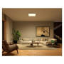 Philips Hue Surimu Square Panel Light, 60 x 60 cm , 2000-6500 Hue White Color Ambiance