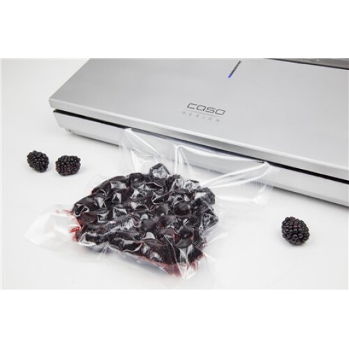 Caso , Bar Vacuum sealer , GourmetVAC 480 , Power 160 W , Silver