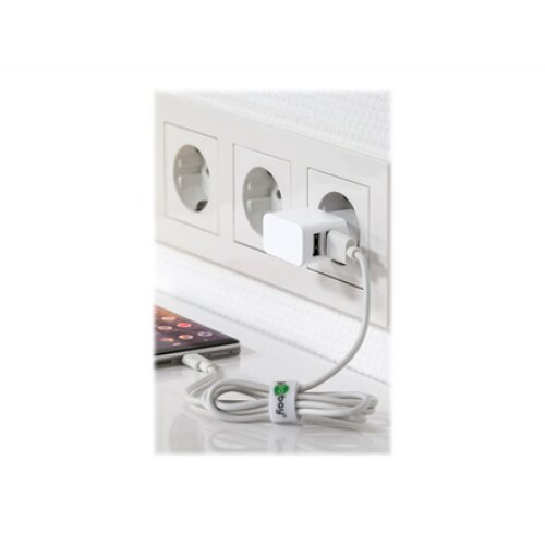 Goobay , 2.4 A , Dual USB charger , 44952