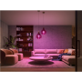 Philips Hue WCA 9W A60 E27
