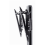 EDBAK Floor stand , TRV200 Videoconferencing Trolley , Tilt , 75-86 , Maximum weight (capacity) 120 kg , Black
