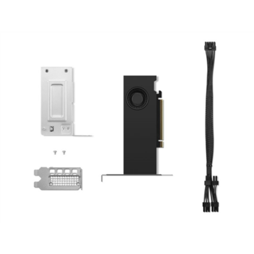 Lenovo RTX 2000 Ada , NVIDIA , 16 GB , GDDR6 , PCIe 4.0 x 8