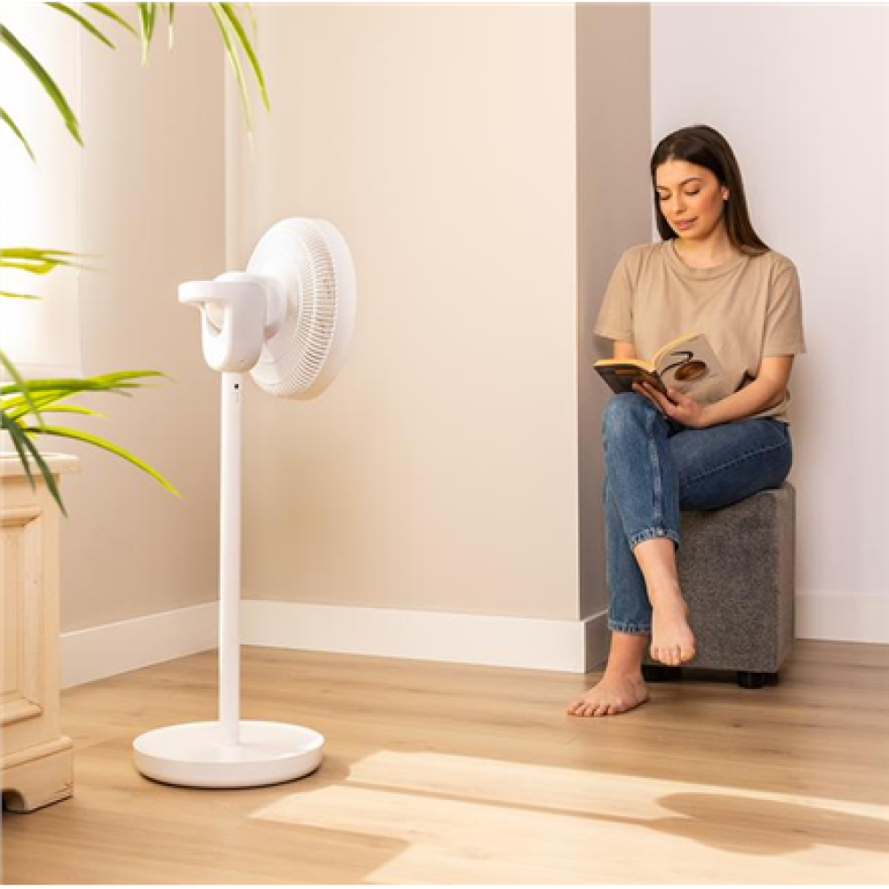 Cecotec EnergySilence 2600 Sunflower Portable , Stand Fan , Diameter 33 cm , Number of speeds 12 , Oscillation , 22 W , Remote control